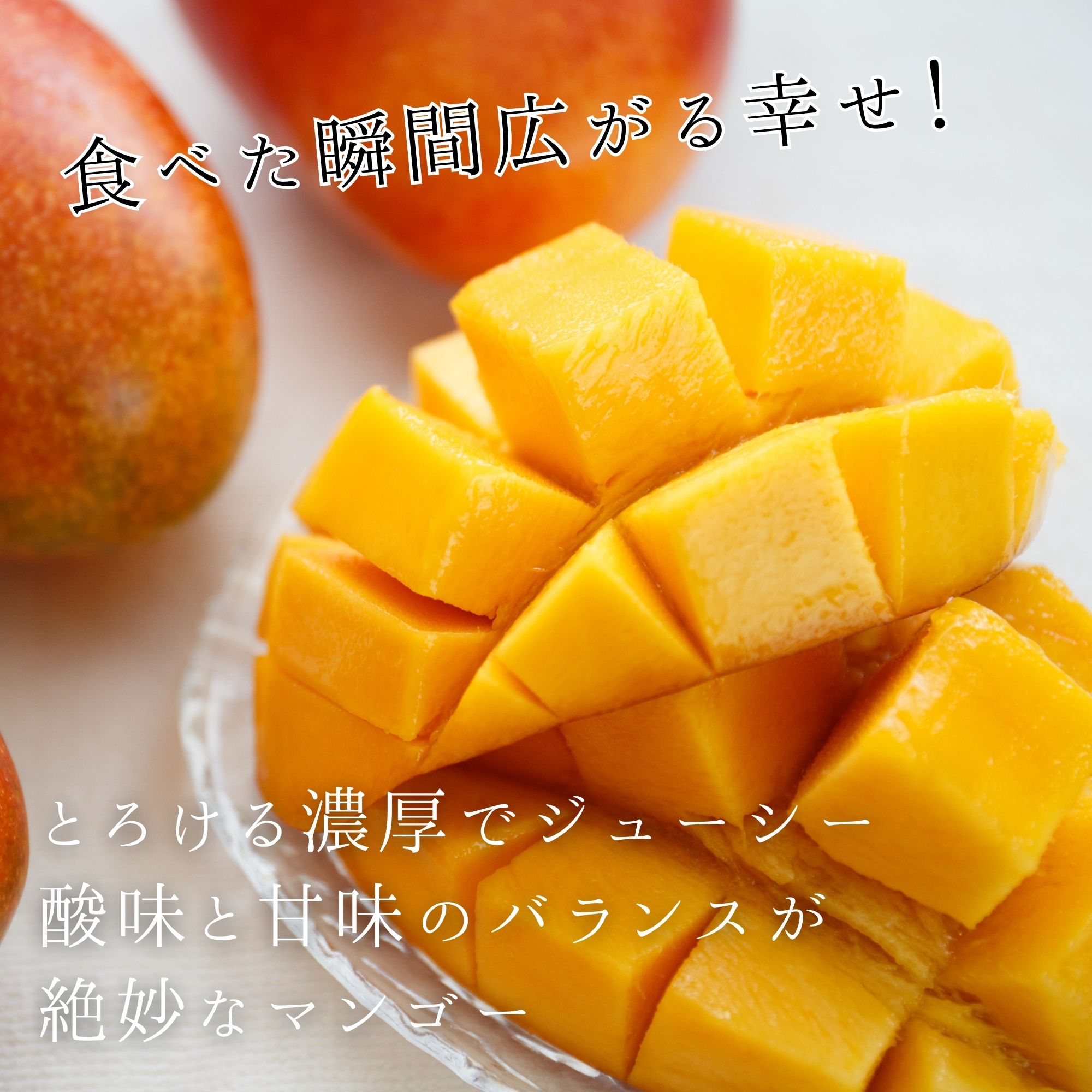お中元/贈答用1kg】 家族・親戚・友人・同僚へ 完熟沖縄マンゴー（2〜4