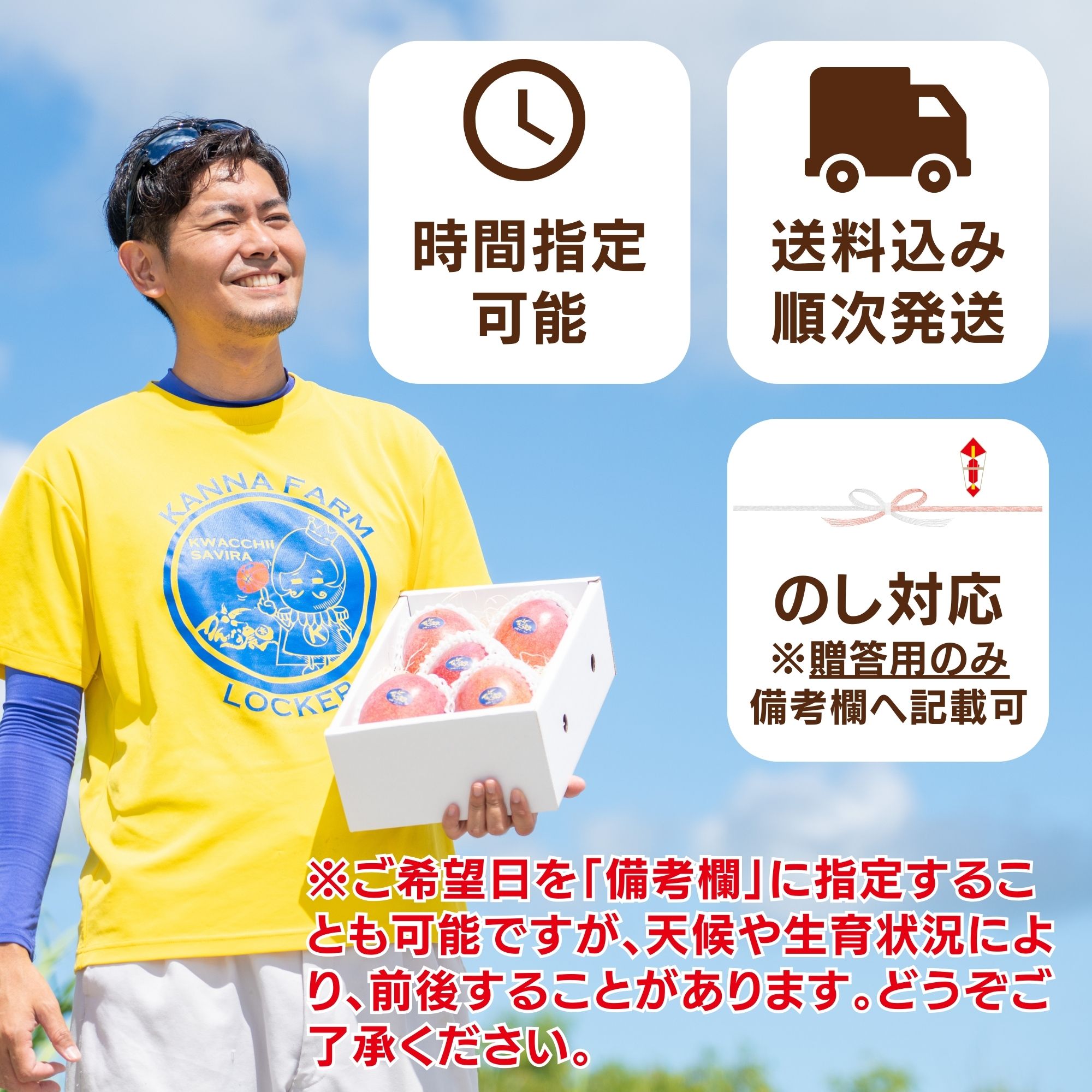 アップルマンゴー　お中元・贈答用 お中元/贈答用1kg】 家族・親戚・友人・同僚へ 完熟沖縄マンゴー（2〜4
