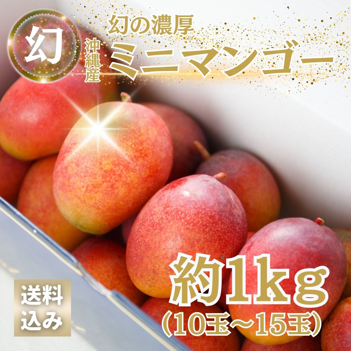 6/16 10時〜先行予約開始【数量限定】幻の濃厚ミニマンゴー 約1kg(10〜15玉入り)｜沖縄かんな農園直送