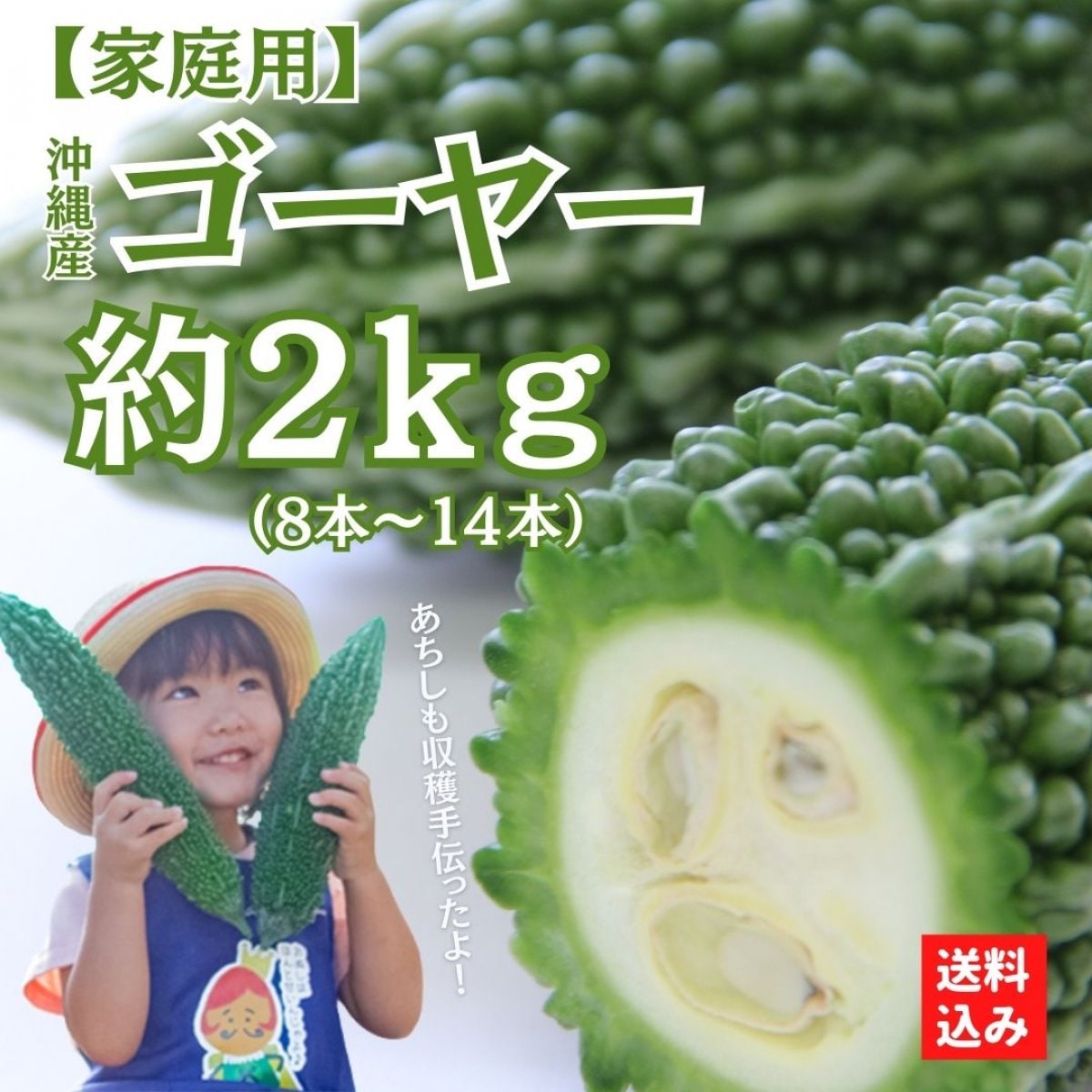 沖縄マンゴー(アップルマンゴー)のかんな農園|大切な方に気持ちを 沖縄マンゴー(アップルマンゴー)のかんな農園|大切な方に気持ちを