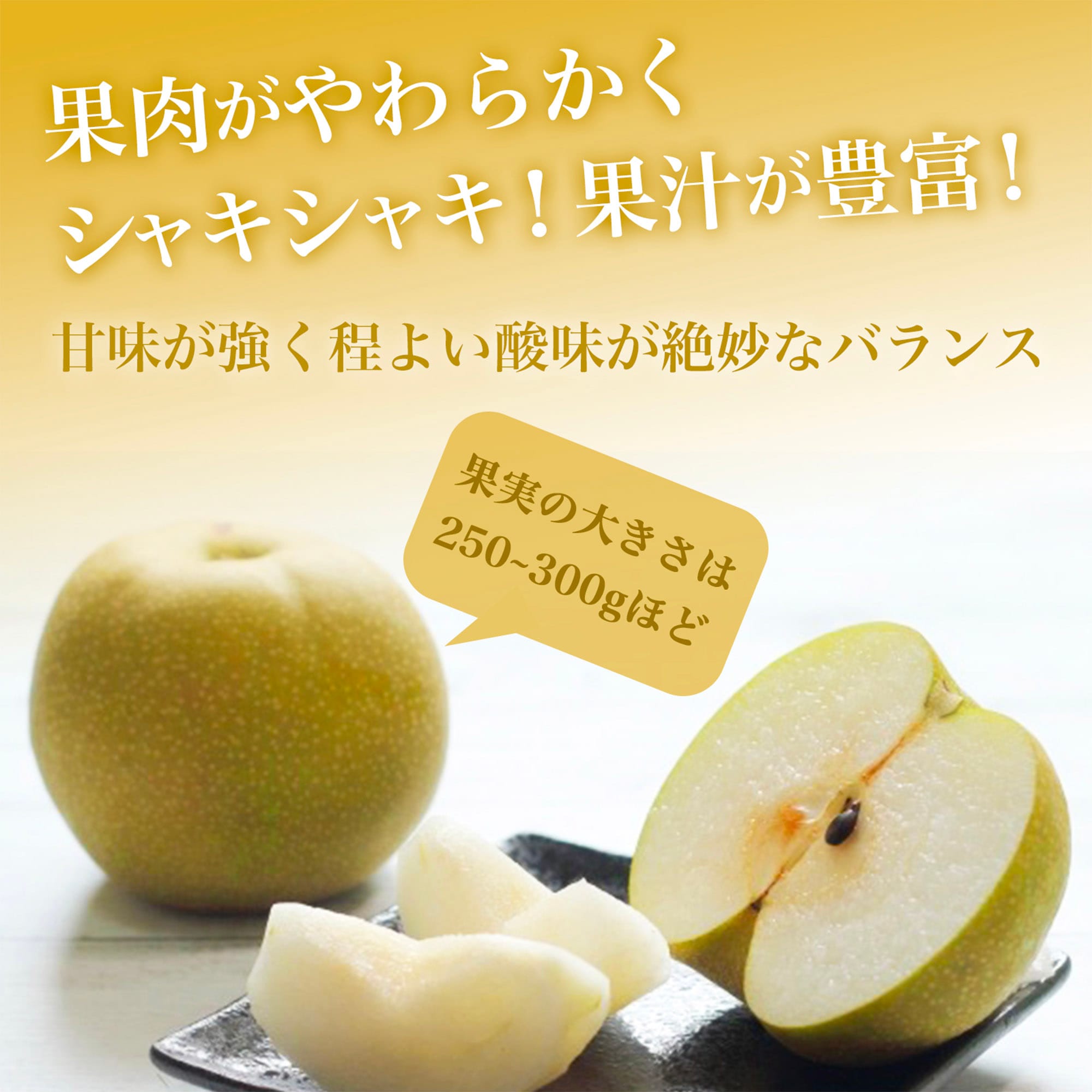 5kg/約12~14個入】新潟県産 幸水梨|果汁あふれる甘さと爽やかさを産地直送!