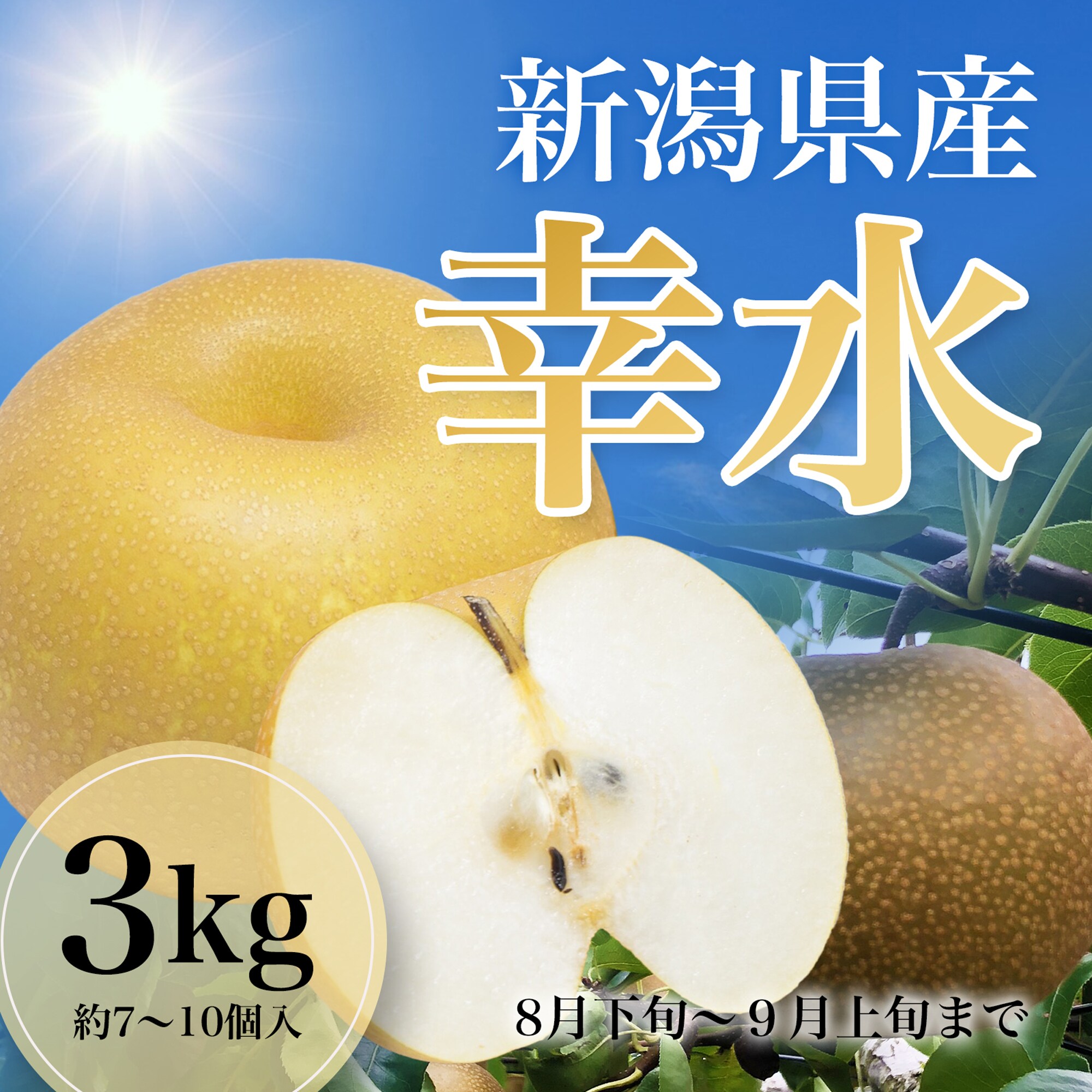item_20230725_013357_760_ORG.jpg