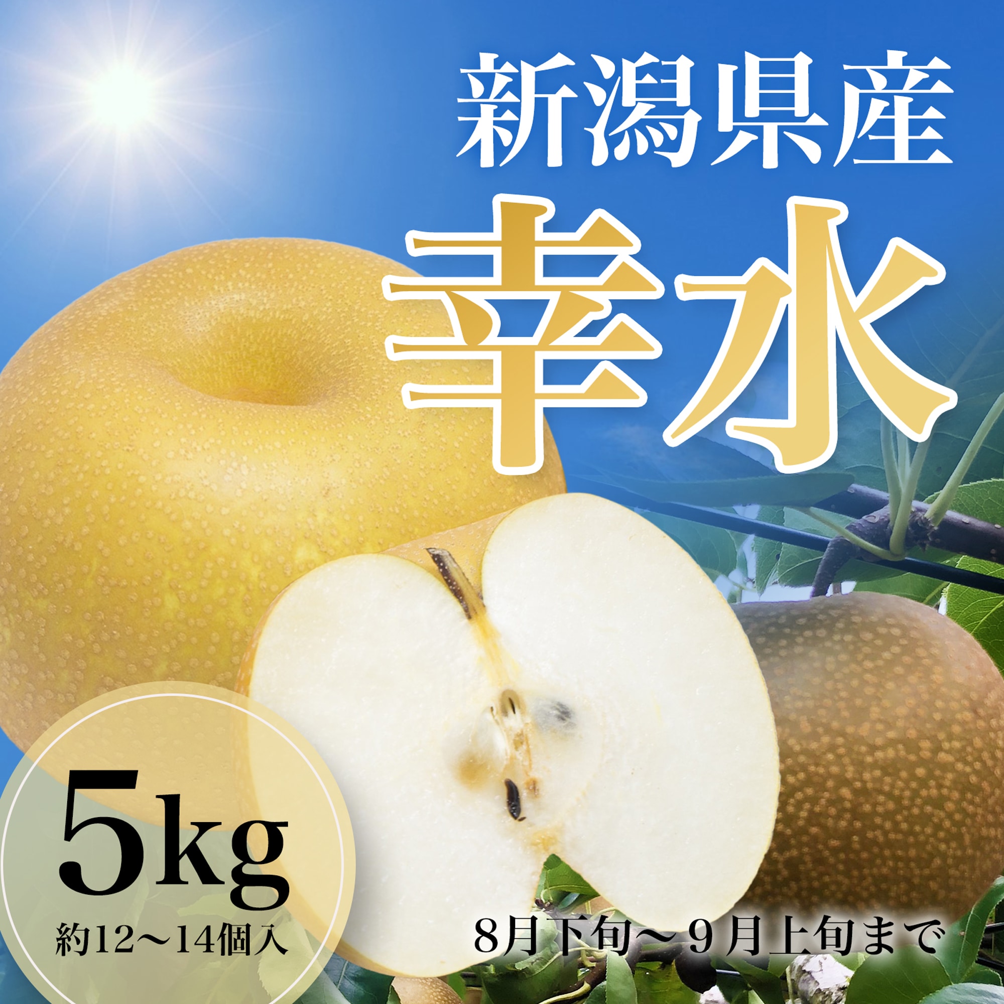 5kg/約12~14個入】新潟県産 幸水梨|果汁あふれる甘さと爽やかさを産地