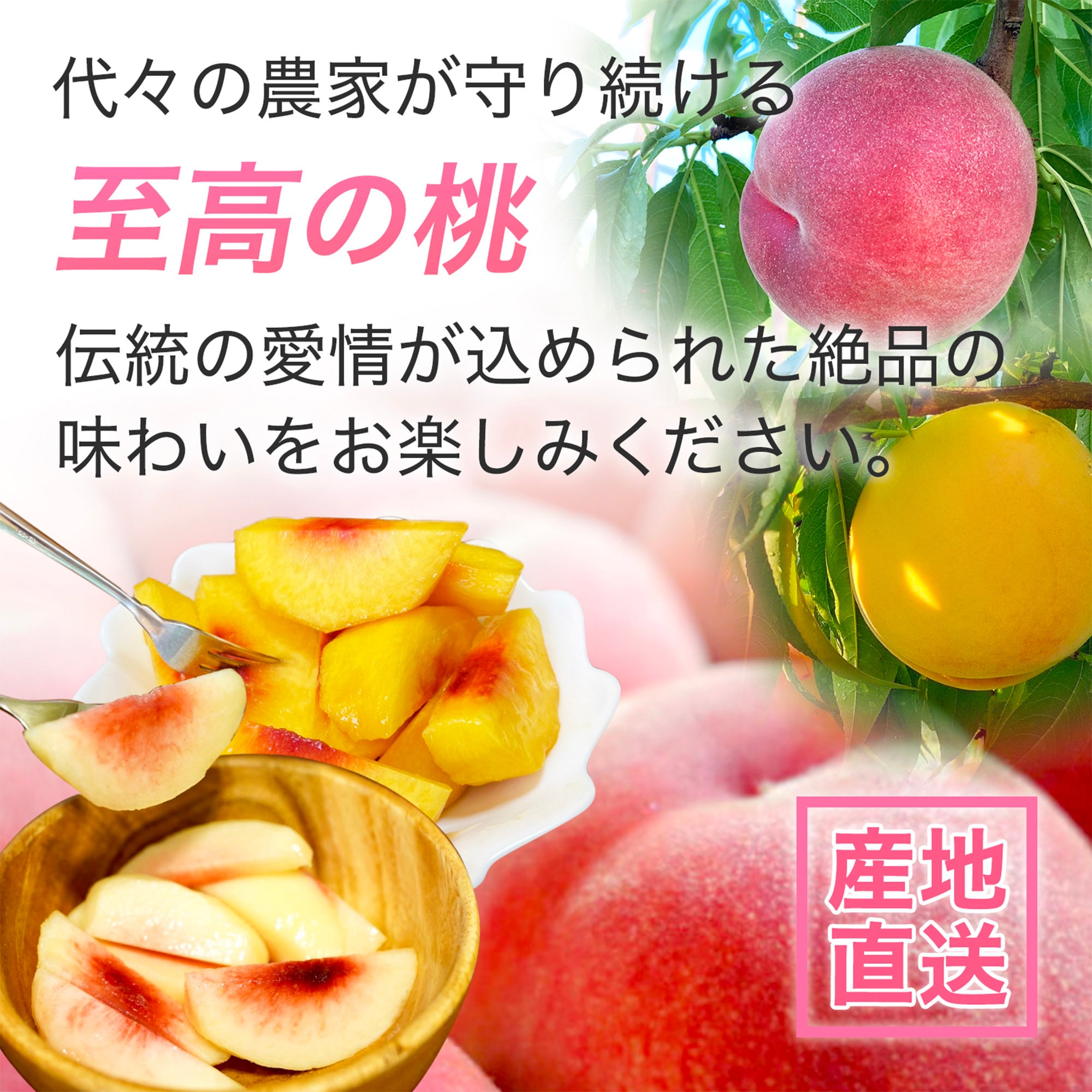 全8品種/限定品種入】朝採れ桃の旬リレーセット(産地直送)|予約販売