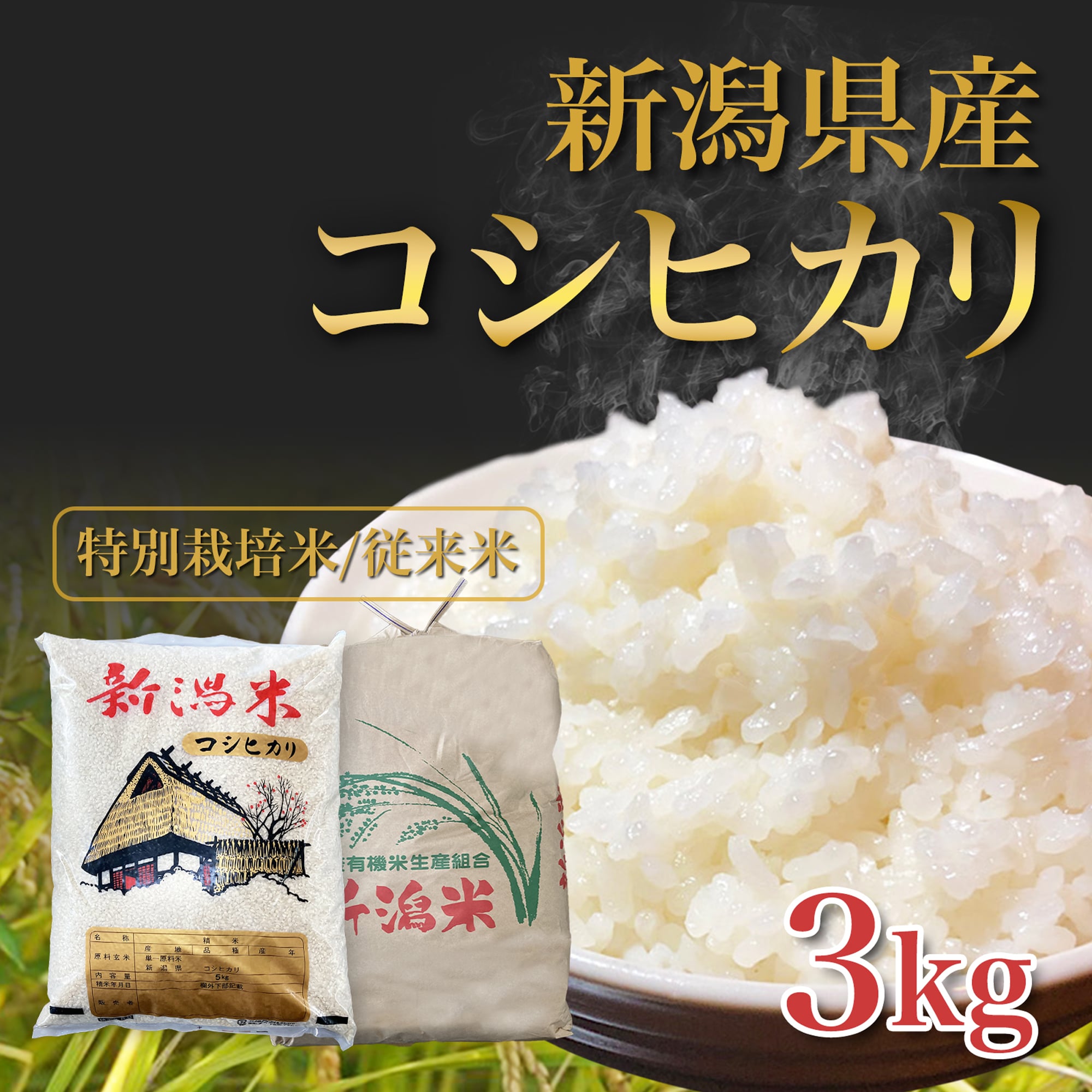 11☆新米　高田農園のこしひかり白米24kg 15500円 全国送料無料☆ コシヒカリ 農林水産大臣賞受賞 10kg 白米 (5kg×2) 令和7年産 茨城県産