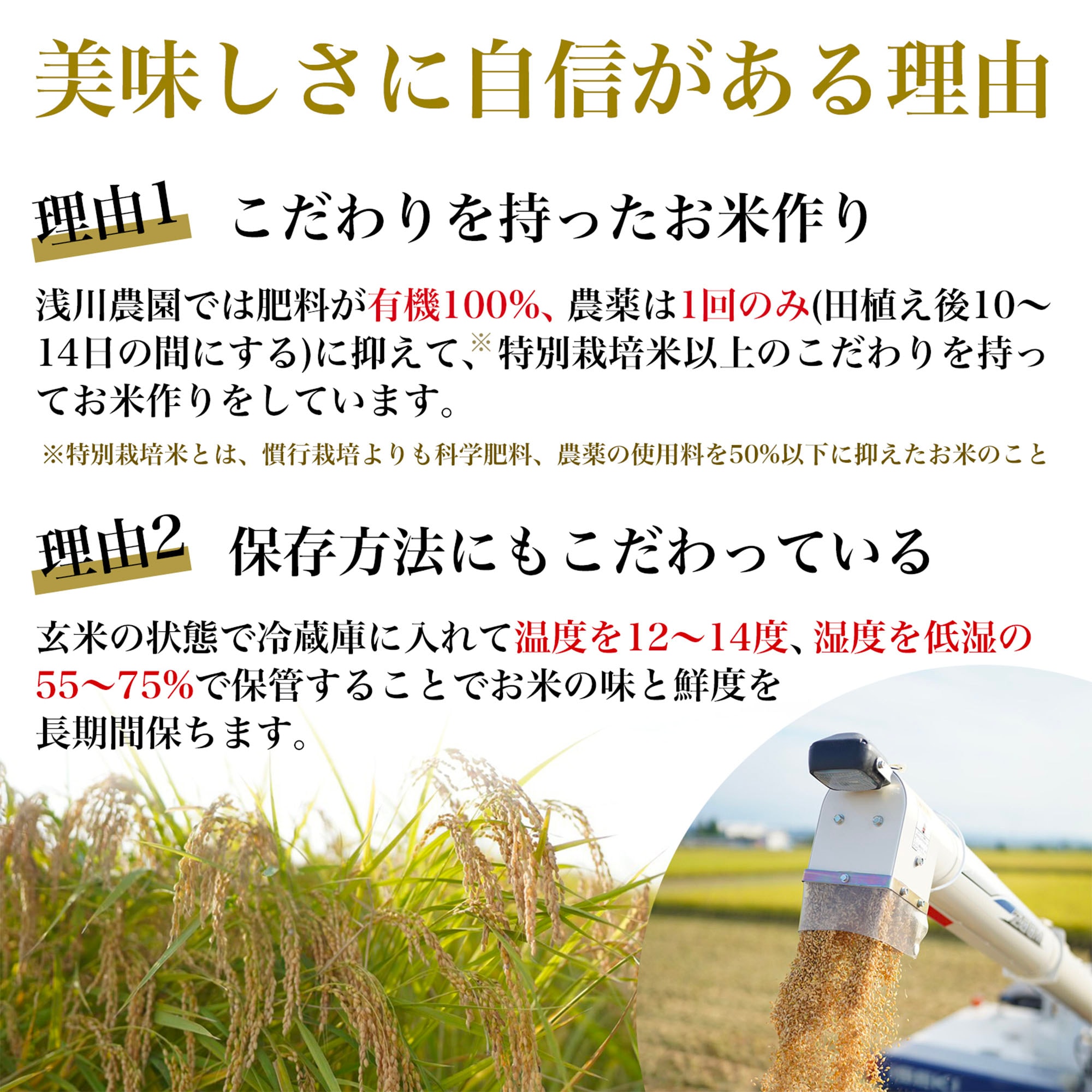 10kg】令和7年度産 新潟県産新米コシヒカリ(特別栽培米)