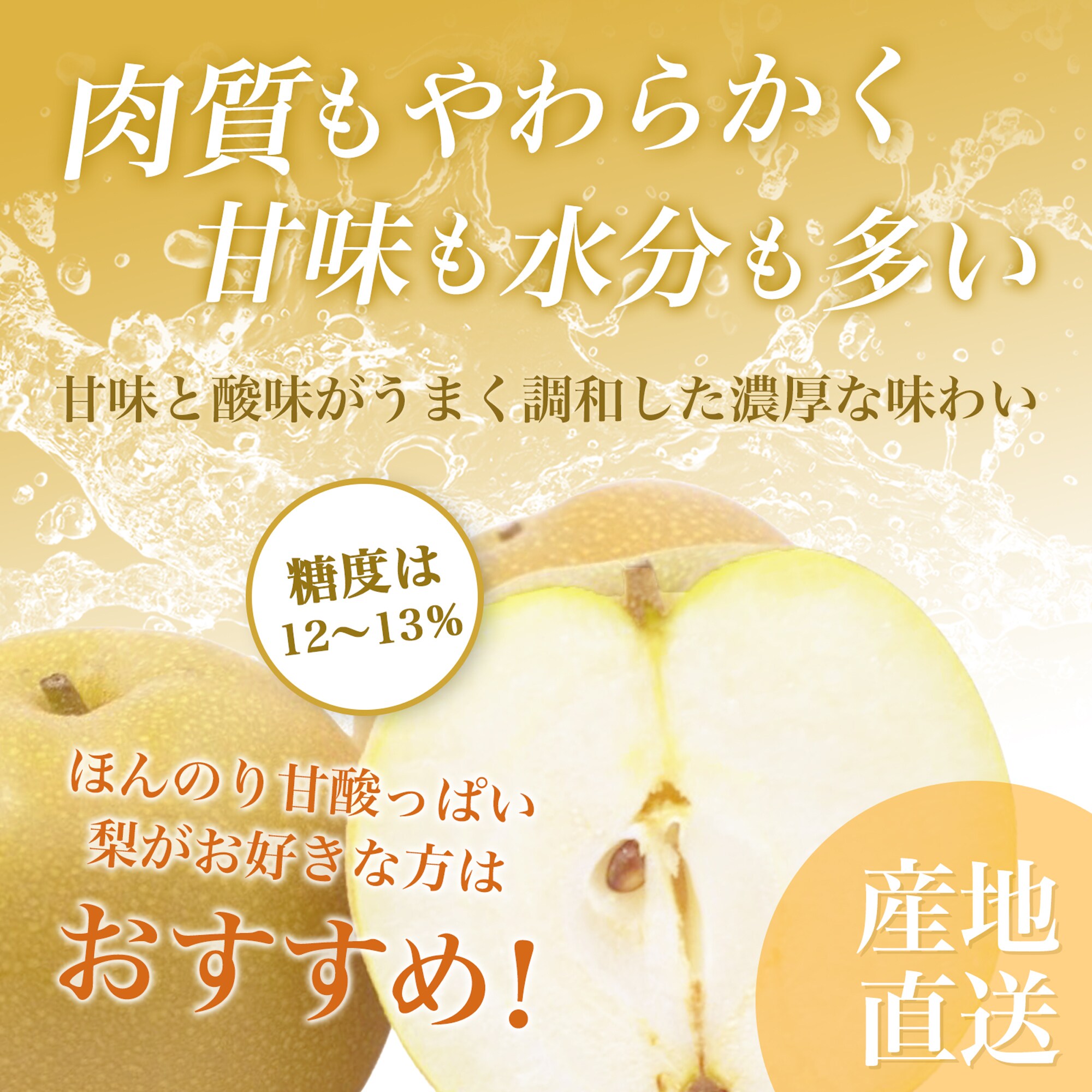 5kg (約12~14個入）】新潟県産豊水梨|甘さと酸味の
