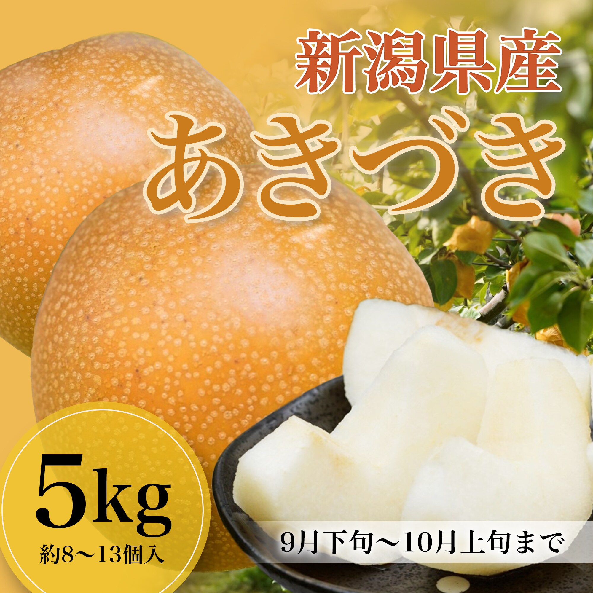 5kg/8~13個入】新潟県産 あきづき梨|酸味がひかえめで甘さ際立つ秋の