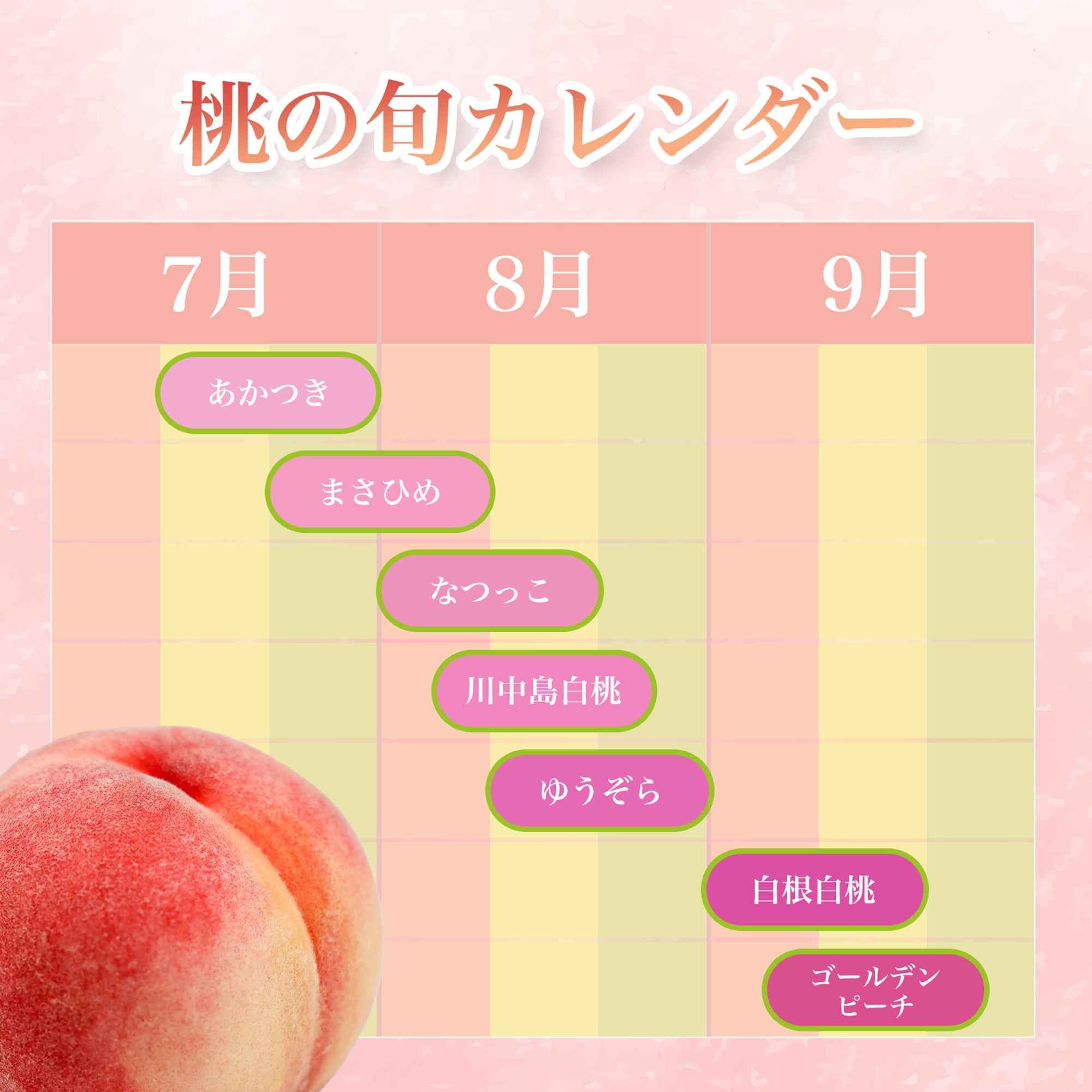 ゴールデンピーチ｣収穫中】5kg(約15~20個入)|新潟県産 朝採れ完熟桃