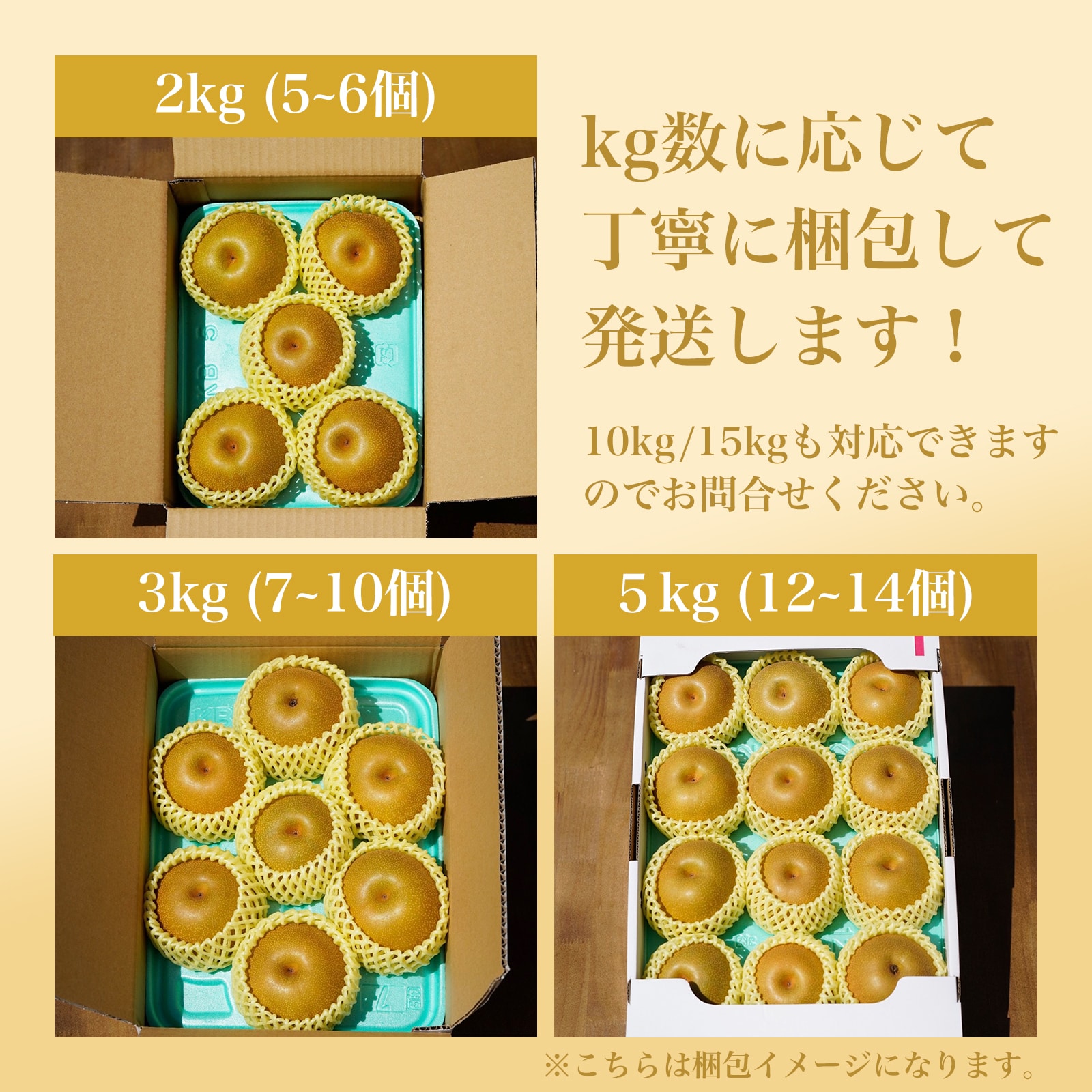 5kg (約12~14個入）】新潟県産豊水梨|甘さと酸味の