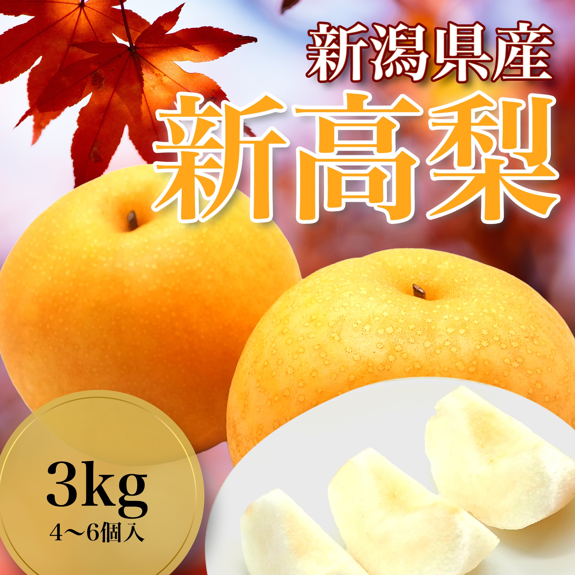 予約販売限定！高ポイント】【3kg(4~6個入)】梨の王様•新潟県産 新高梨