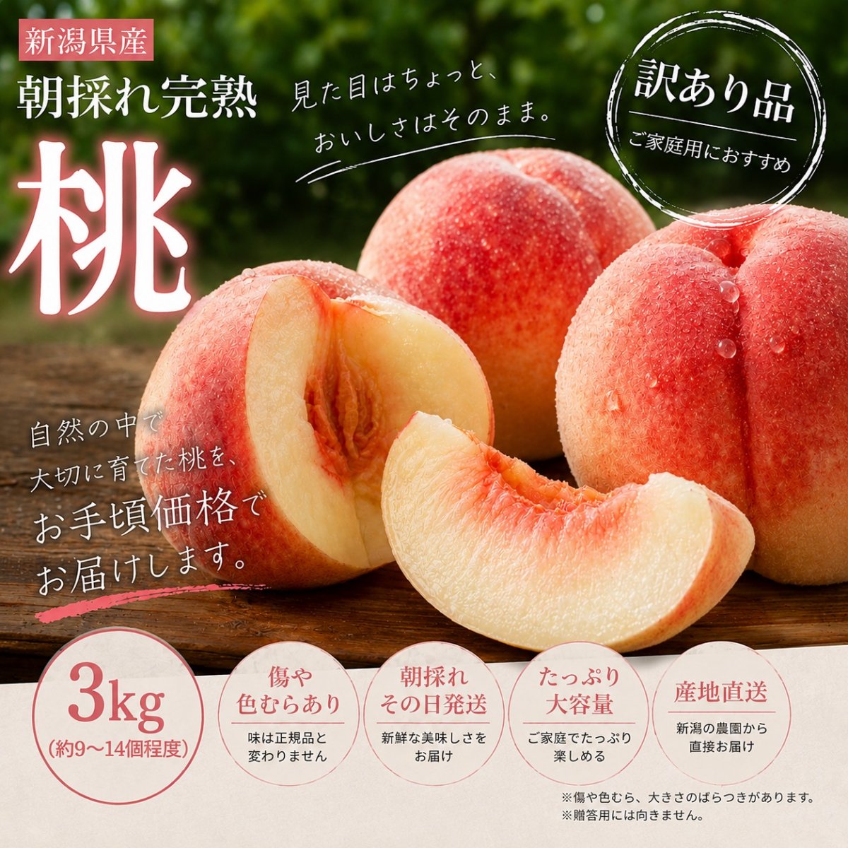 【ご家庭用】3kg(約9~14個入)新潟県産 朝採れ完熟桃訳あり(キズ・色むら)