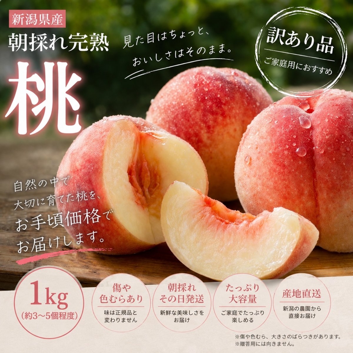 【ご家庭用】1kg(約3~5個入)新潟県産 朝採れ完熟桃訳あり(キズ・色むら)