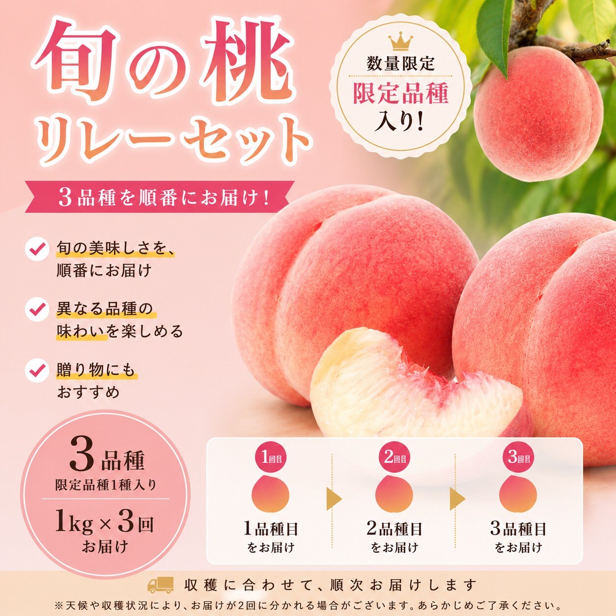旬の桃 産地直送 詰め合わせ 全3品種/限定品種入】朝採れ桃の旬リレーセット(産地直送)|予約販売