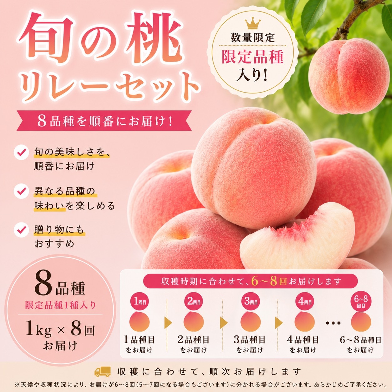 全8品種/限定品種入】朝採れ桃の旬リレーセット(産地直送)|予約販売