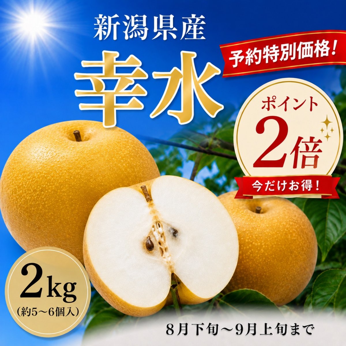 特集商品画像