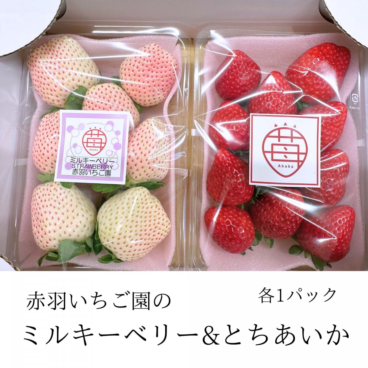 赤羽いちご園の紅白いちご ミルキーベリー&とちあいか各1パック入り 1箱│栃木産