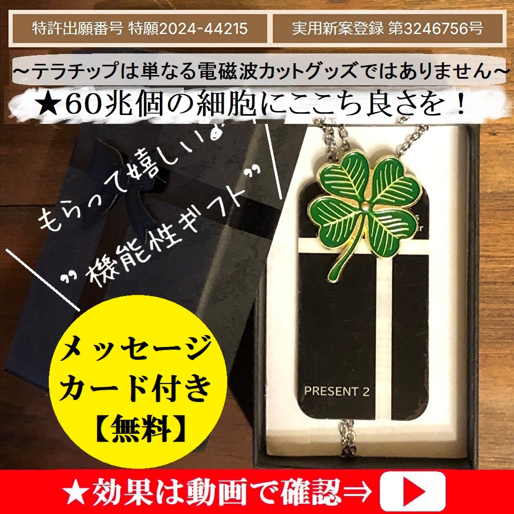 テラチップ 量子波発信機【特許出願中 特願2024-44215】【実用新案登録