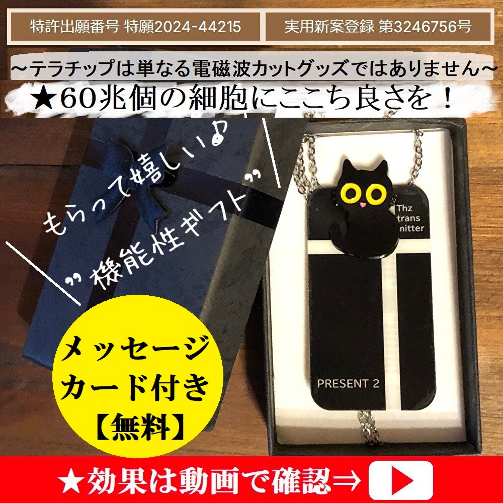 テラチップ 量子波発信機【特許出願中 特願2024-44215】【実用新案登録