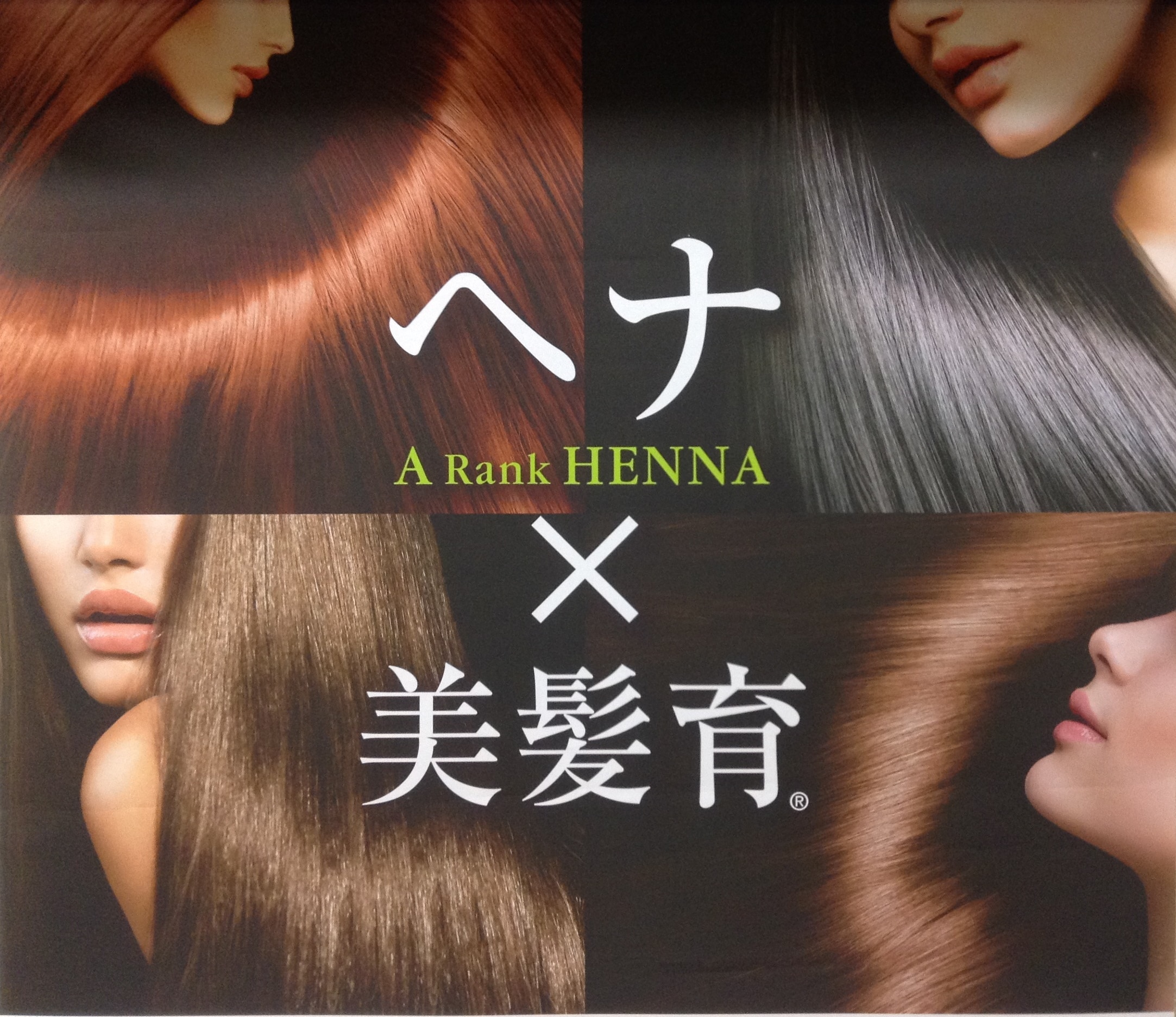 ヘナの方に特におすすめ【2本セット】KARUNAリッチ ヘナシャンプー