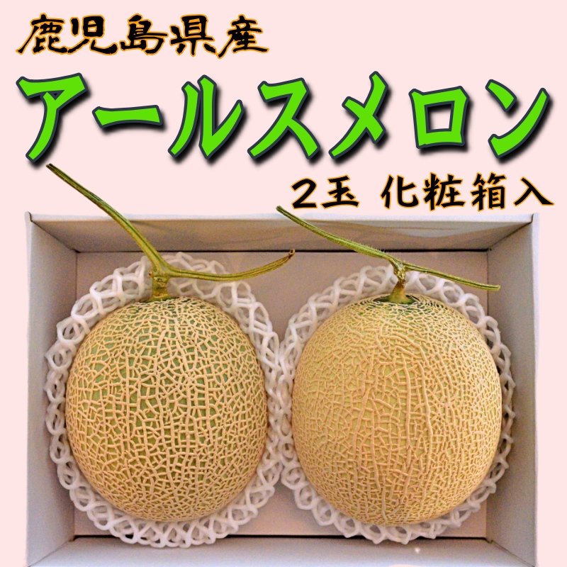 メロン 2Lサイズ 6玉入り 9kg 10kgアールスメロン 家庭用贈答も 豪華 アールスメロン｜2玉入｜ギフト｜お中元｜お歳暮｜母の日｜父の日
