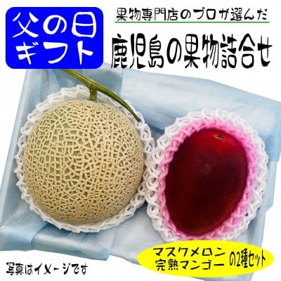 【父の日ギフト】鹿児島の果物詰合せ｜Dセット