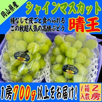 シャインマスカット【晴王】｜２房入｜中房｜岡山県産｜ギフト