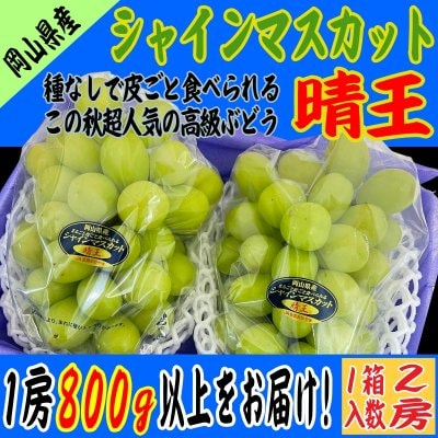 岡山県産｜シャインマスカット｜晴王｜ギフト｜２房入｜大房