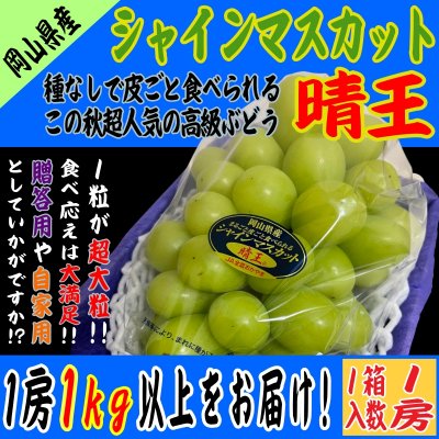 岡山県産｜シャインマスカット｜晴王｜ギフト｜1房入｜超大房