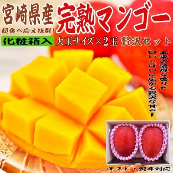 宮崎県産｜完熟マンゴー｜大玉サイズ｜2玉入【母の日・父の日・御中元・夏ギフト】