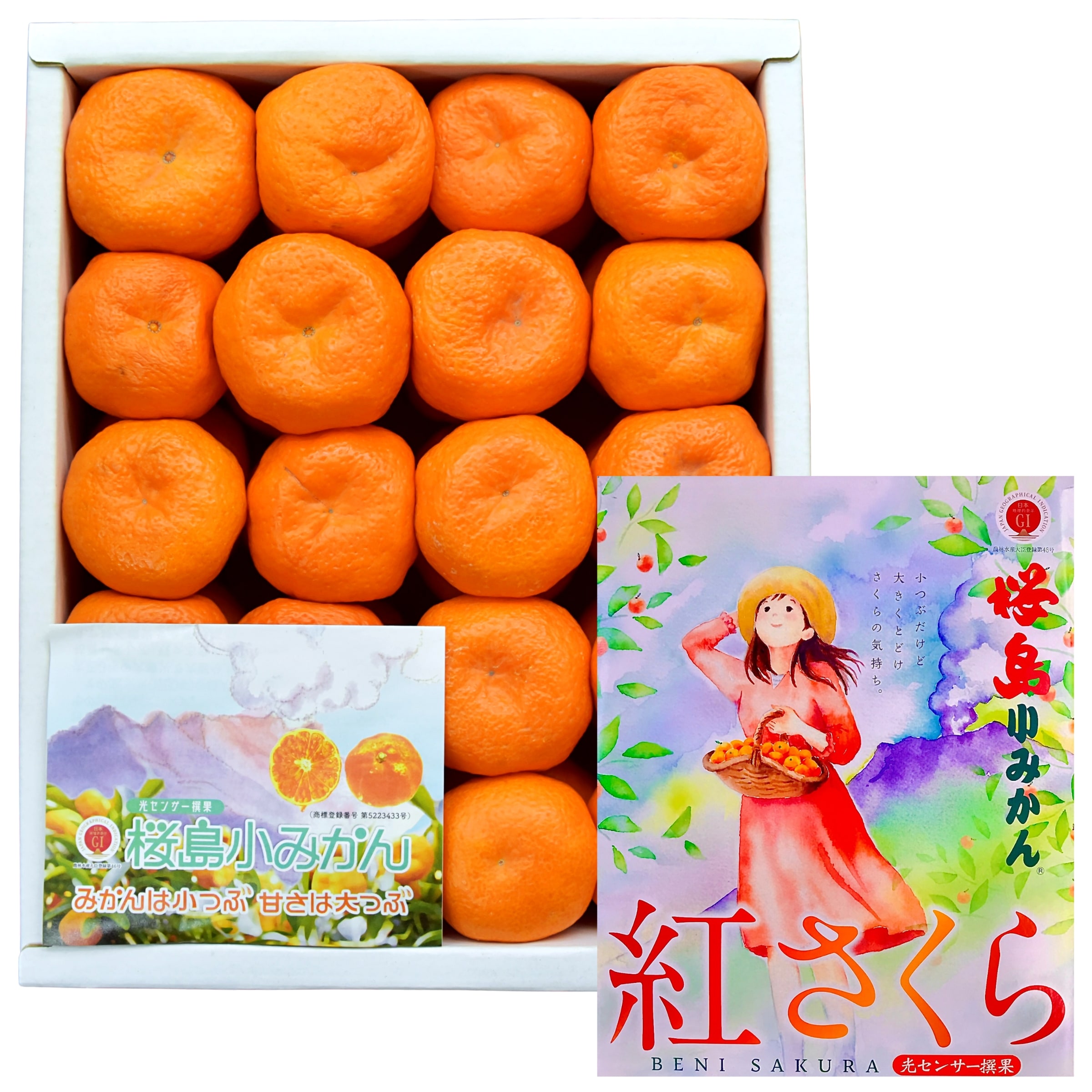 早期受注割引】幻の採れたて！征代さんの“桜みかん” 3kg_宮崎県都農町産【全国送料無料】｜産直！ぐるすぐりの駅の通販・お取り寄せなら【ぐるすぐり】 みかん様専用　ちりめん細工　桜木
