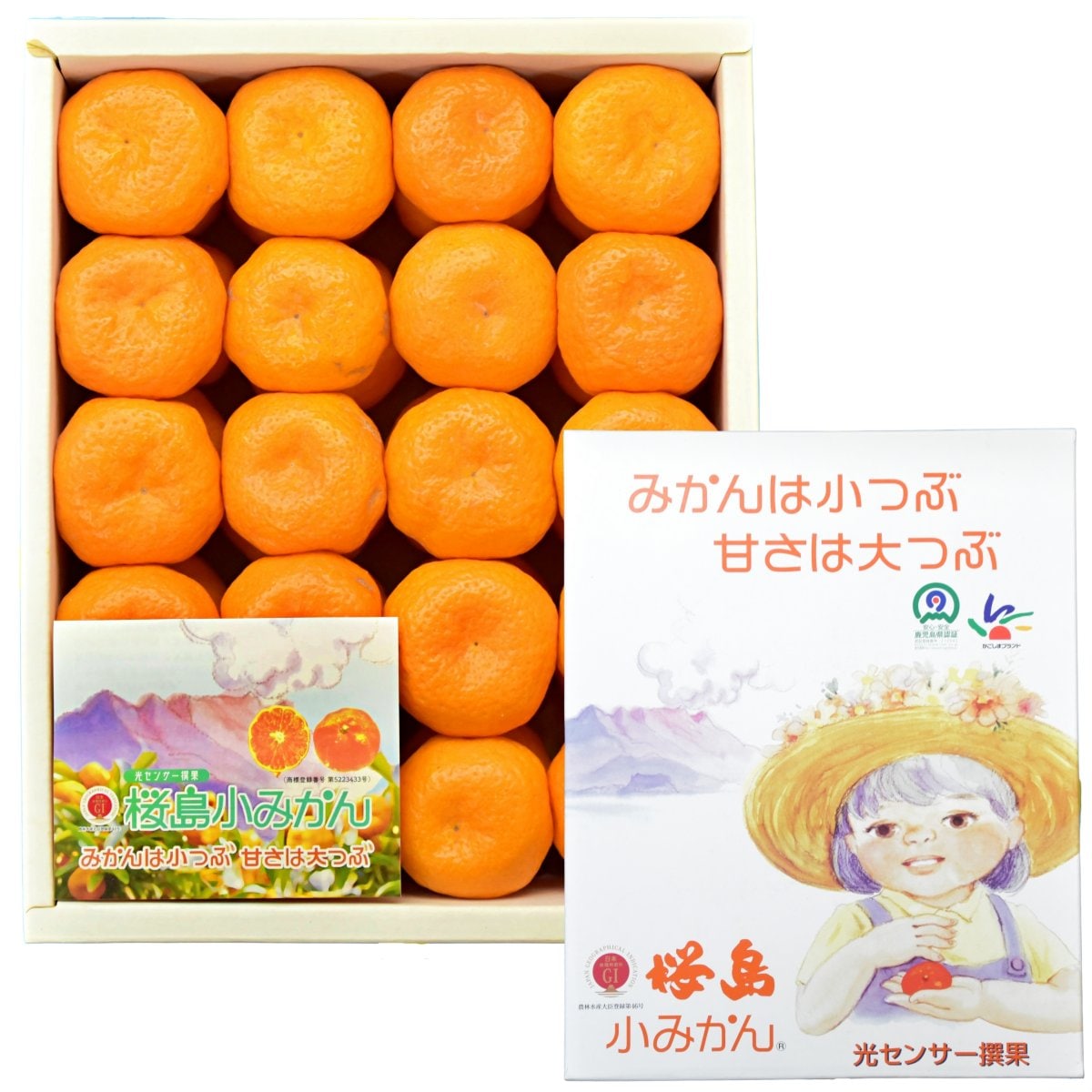 桜島小みかん｜2kg｜御歳暮ギフト【事前予約｜商品12月順次発送】