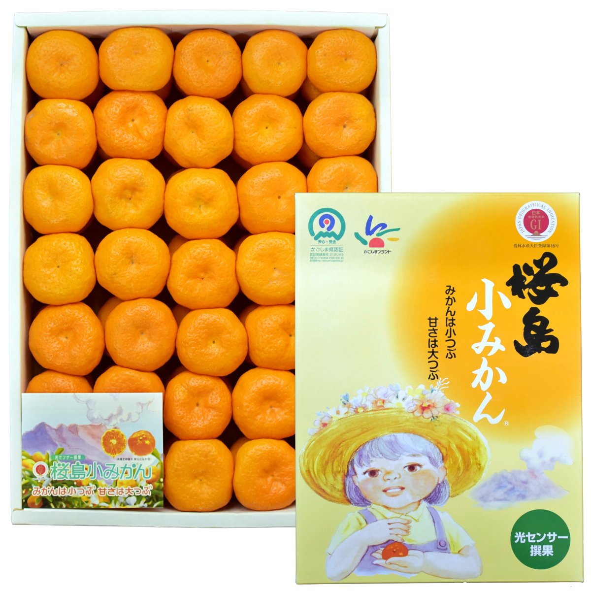 桜島小みかん|2kg〜3㎏どちらか選べる|御歳暮ギフト