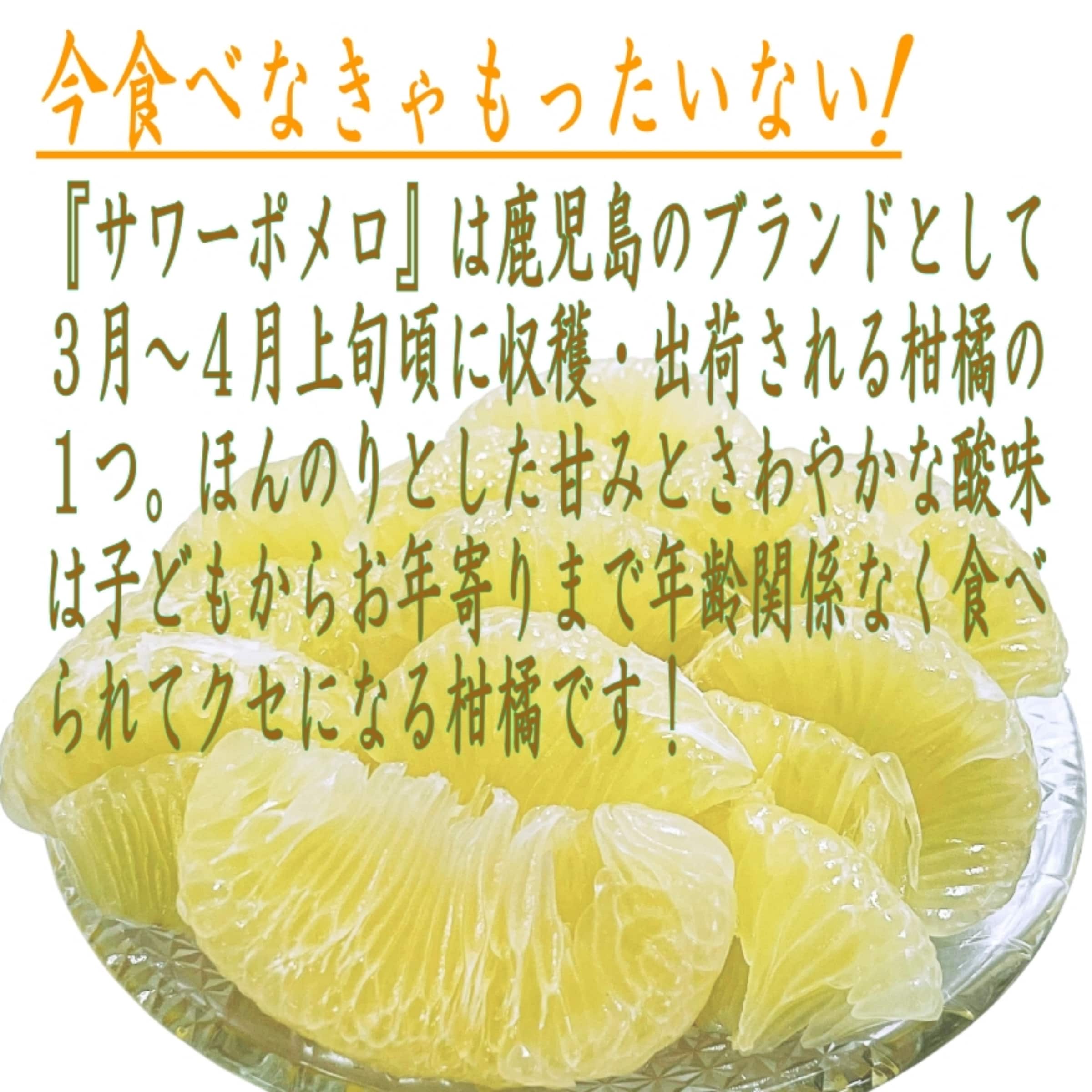 サワーポメロ｜約8kg｜鹿児島県産【在庫売り尽くし・フードロス】