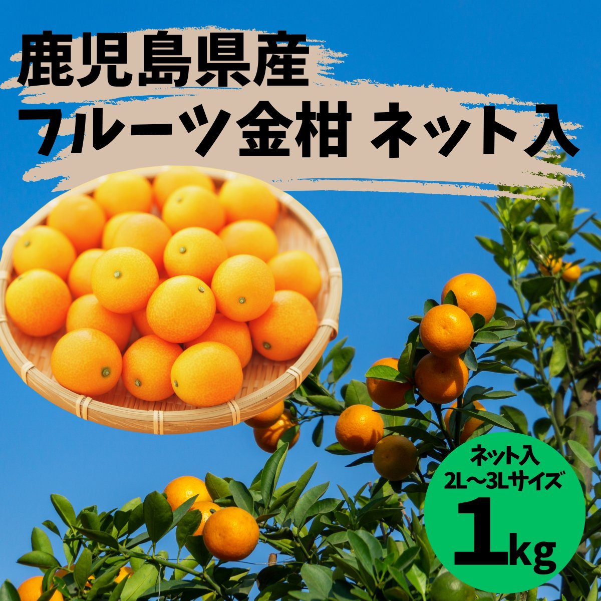 フルーツ金柑｜約1kg(大玉)｜ネット袋入｜自家用｜鹿児島県産｜注文制限5ネットまで