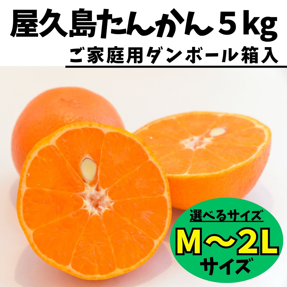 ツクツク!!! 通販 | 最もお得な高ポイント還元通販サイト