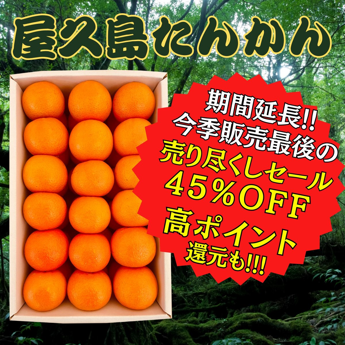 ツクツク!!! 通販 | 最もお得な高ポイント還元通販サイト