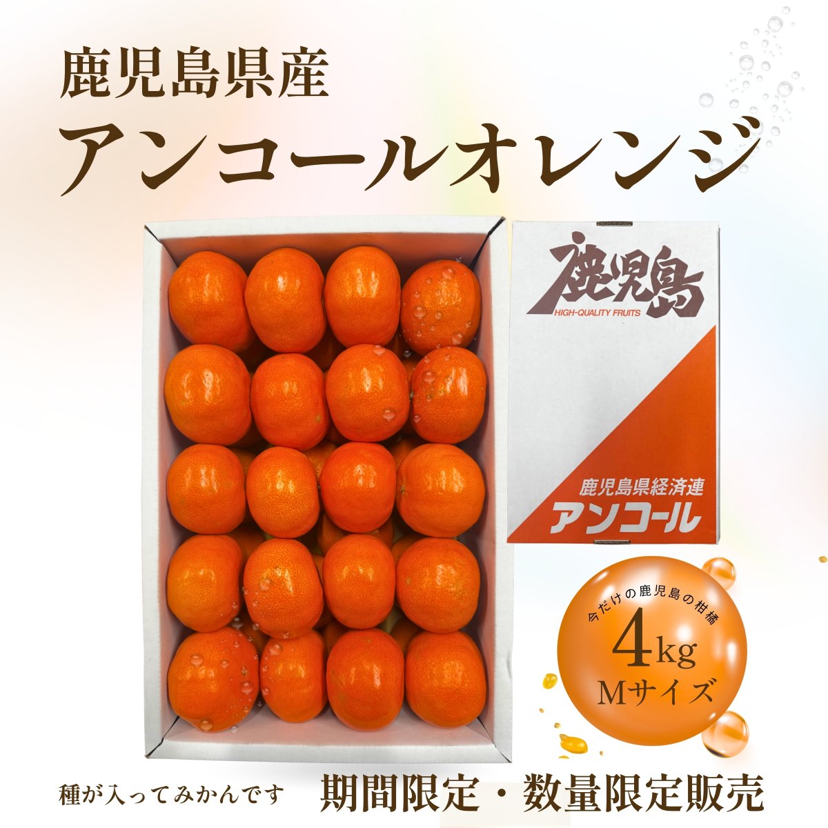 ツクツク!!! 通販 | 最もお得な高ポイント還元通販サイト