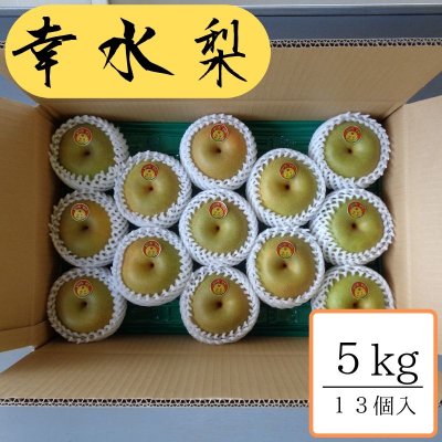 幸水/約5kg箱13個入 幸水/約5kg箱13個入