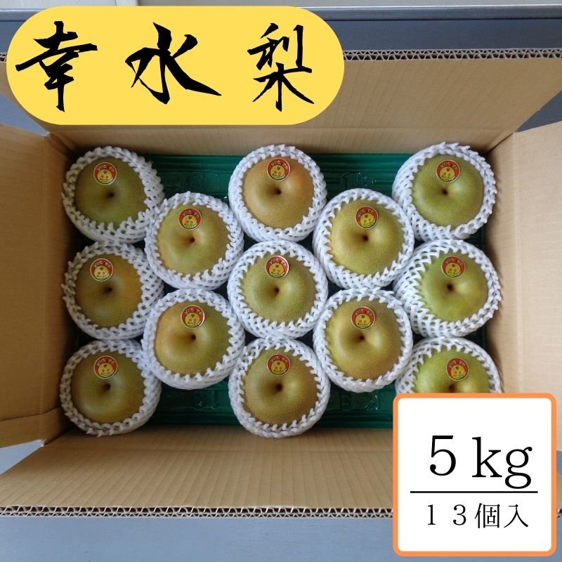 幸水/約5kg箱13個入