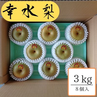 幸水/約3kg箱8個入