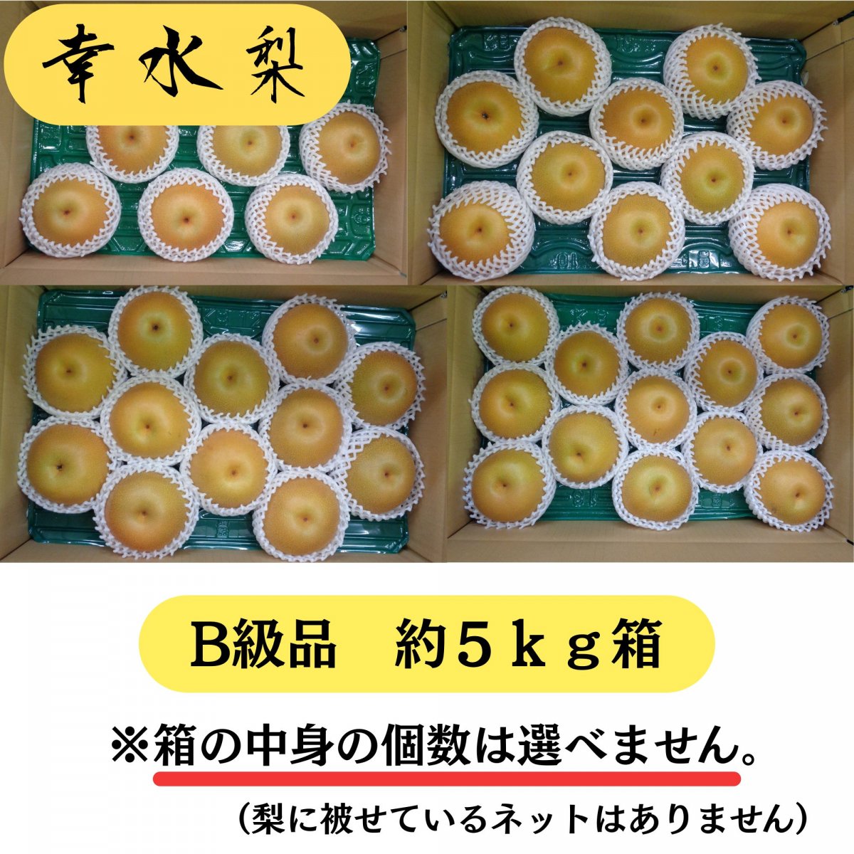 幸水/約5kg箱B級品/訳あり品
