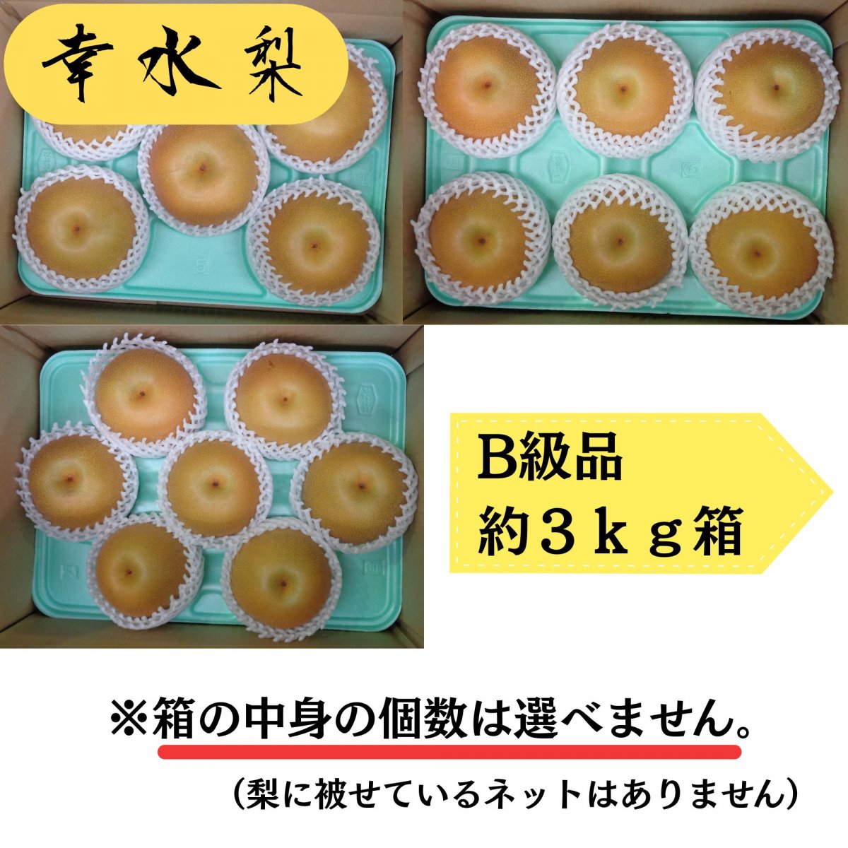 幸水/約3kg箱B級品/訳あり品