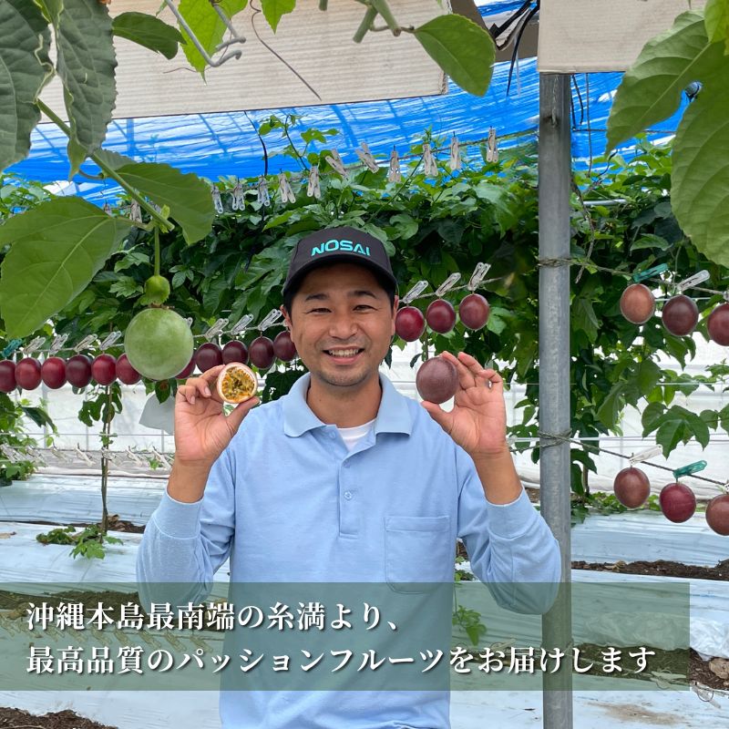 ご家庭用1kg】【送料無料 高ポイント還元】沖縄糸満産 無農薬