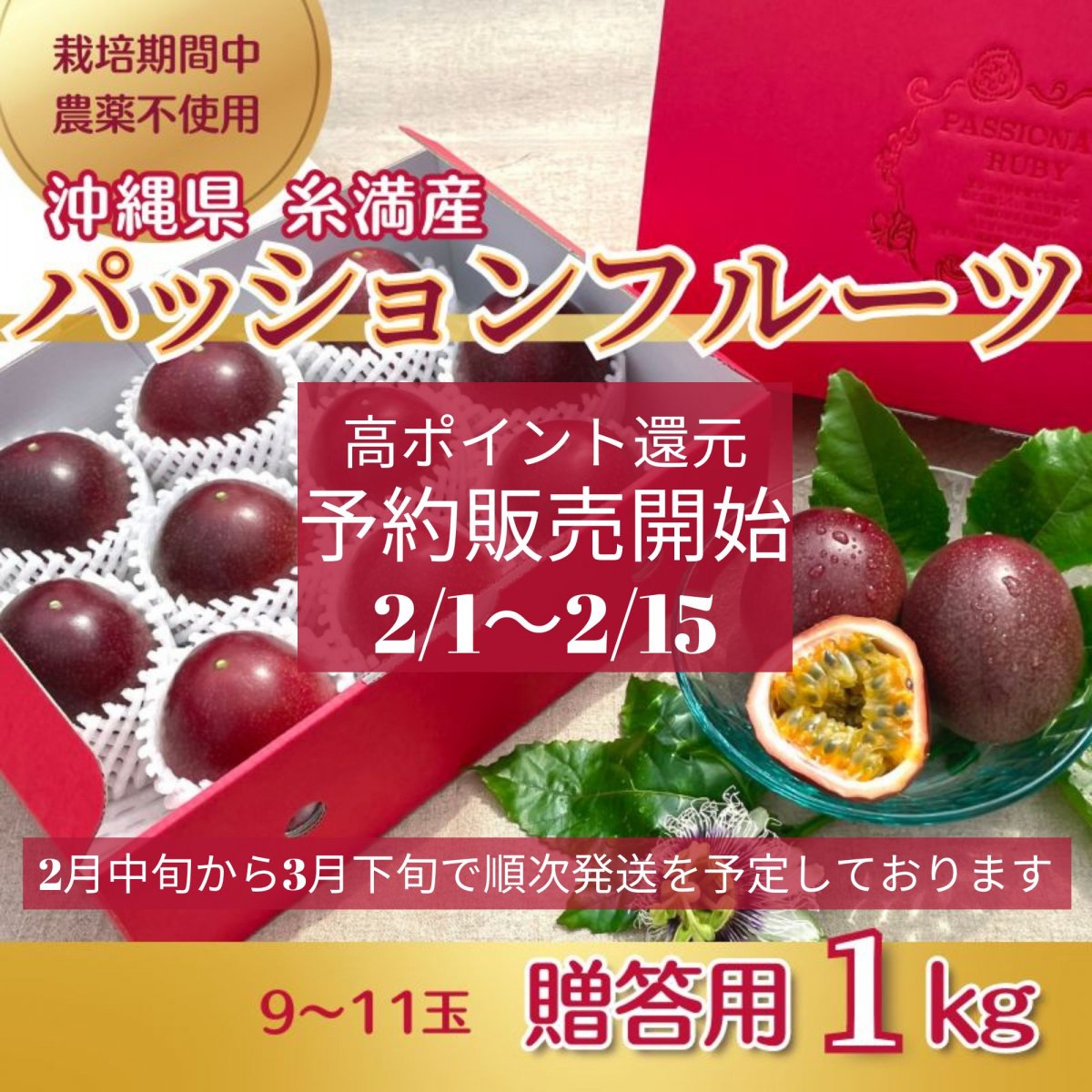 【予約販売】【贈答用１ｋｇ】【送料無料　2/15までの高ポイント還元】沖縄糸満産　高級無農薬パッションフルーツ　9玉〜11玉