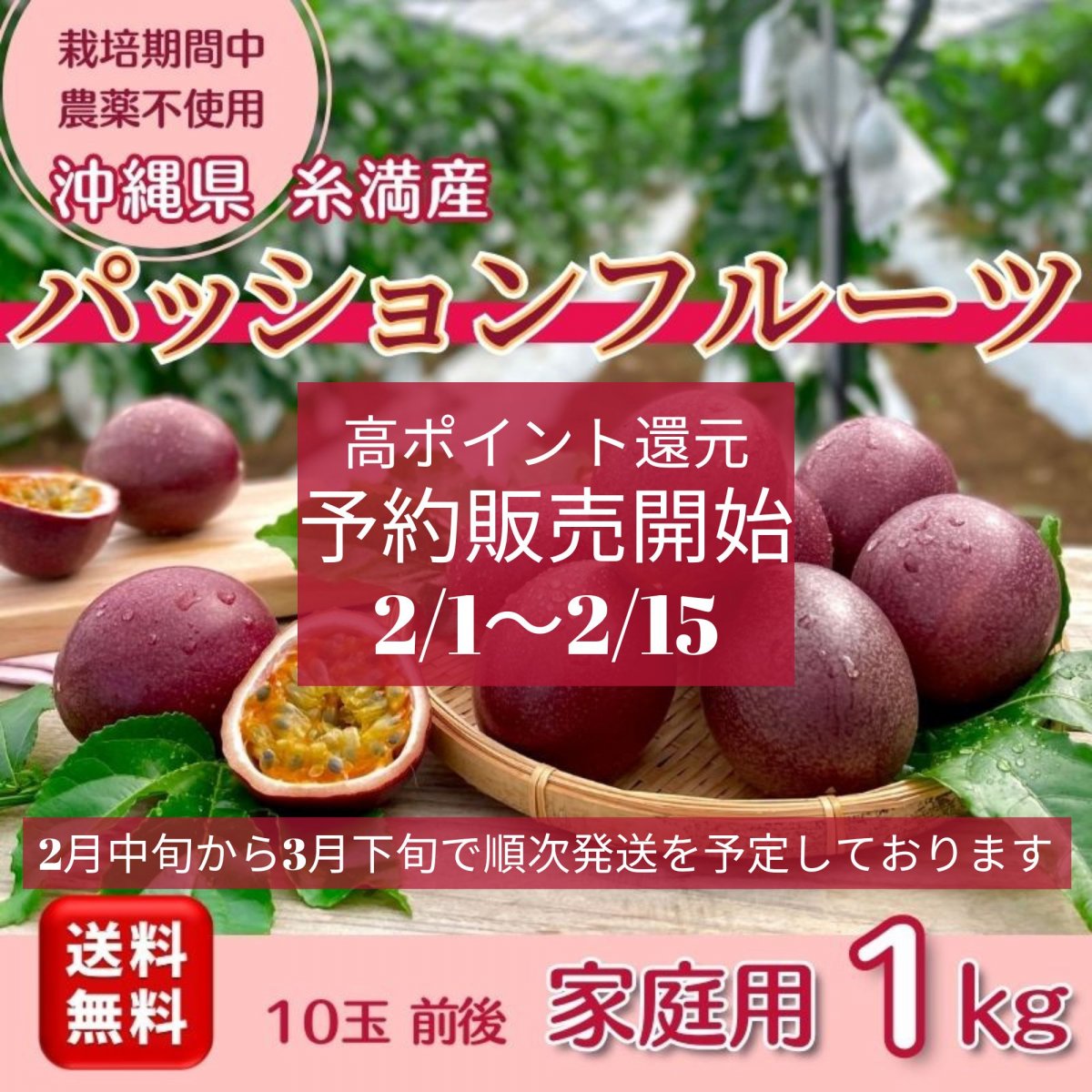 【予約販売】【ご家庭用1ｋｇ】【送料無料　2/15までの高ポイント還元】沖縄糸満産　無農薬パッションフルーツ　10玉前後