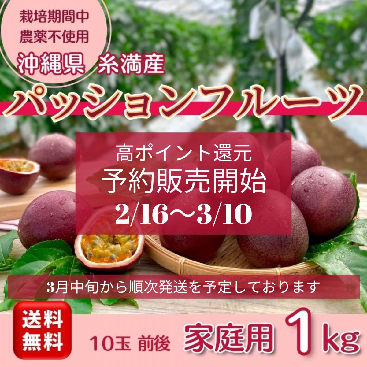 【予約販売】【ご家庭用1ｋｇ】【送料無料　高ポイント還元】沖縄糸満産　無農薬パッションフルーツ　10玉前後