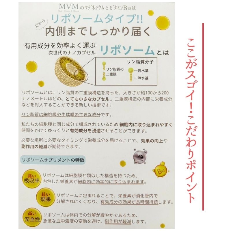 細胞から身体を元気に！MVM（マルチビタミンミネラル）｜サプリメント