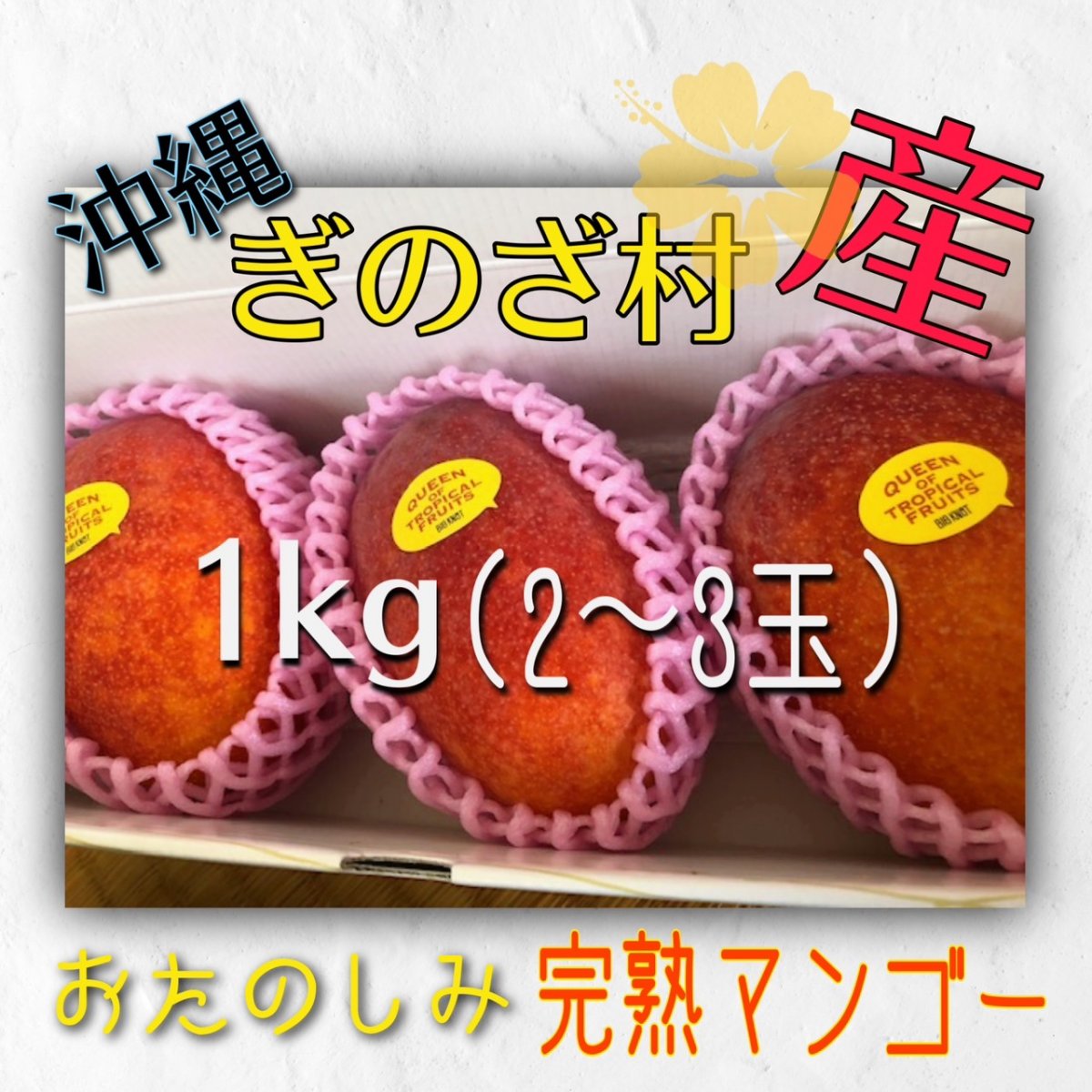 【家族満足・お楽しみマンゴー約1kg】沖縄宜野座村産完熟マンゴー(2〜4玉)