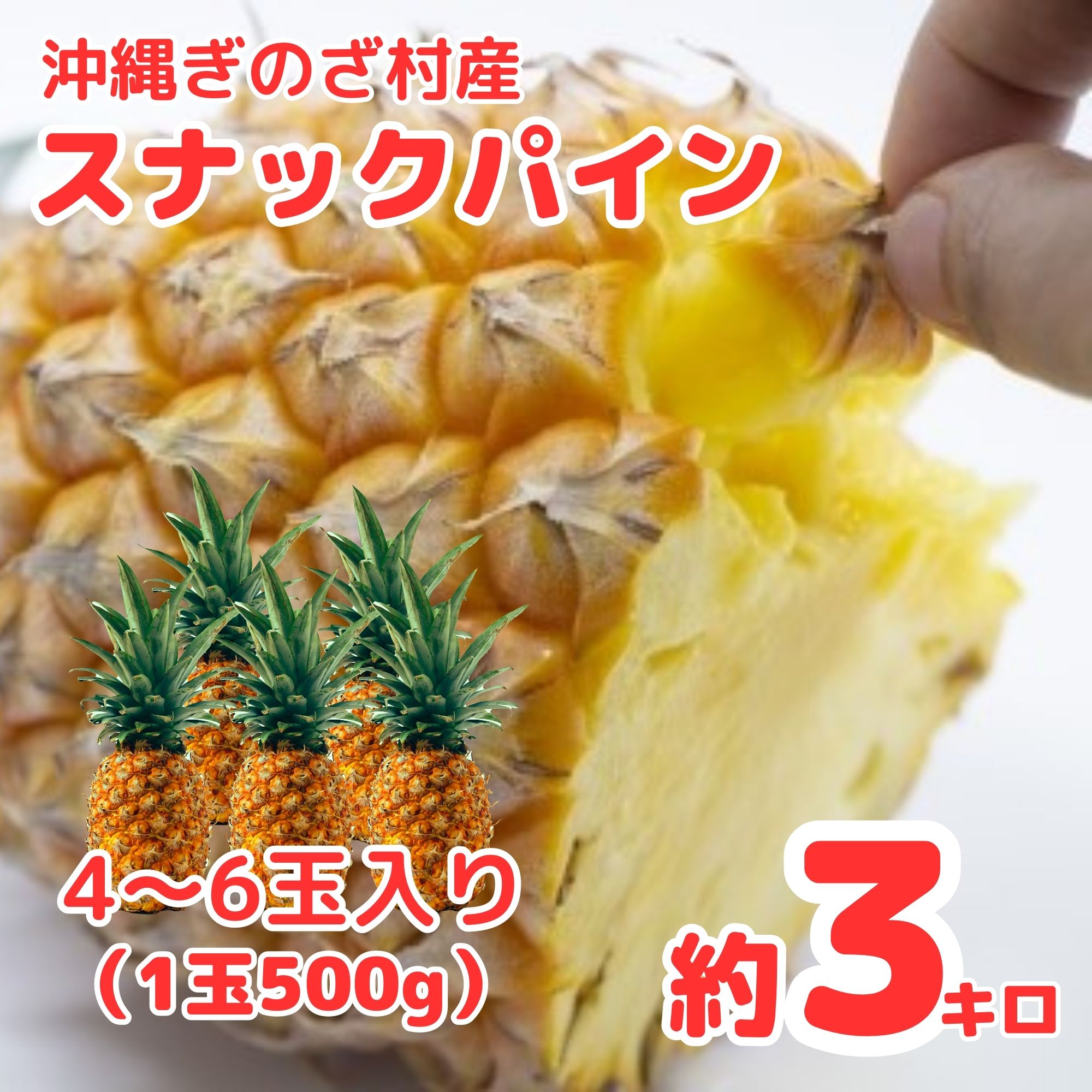 スナックパイン約3㎏ 4〜6個】沖縄宜野座村産完熟スナックパイン